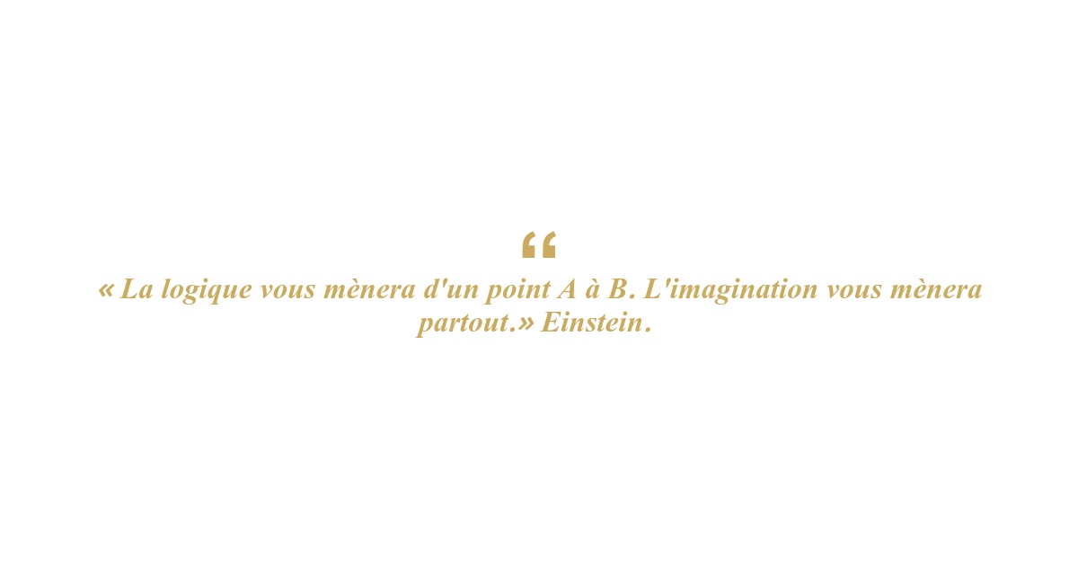 le_manuel_la_force_de_limagination_-wide-2