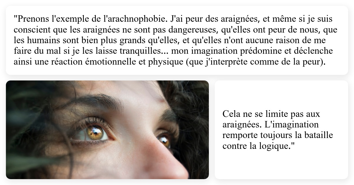 le_manuel_la_force_de_limagination_-wide-5